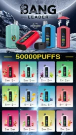 Dh Vape Bang Leader 使い捨てタイプ