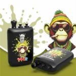 dh-vape-eu-warehouse-bang-blaze-140000-140k-puff-strawberry-kiwi-watermelon-bubblegum-blueberry-cherry
