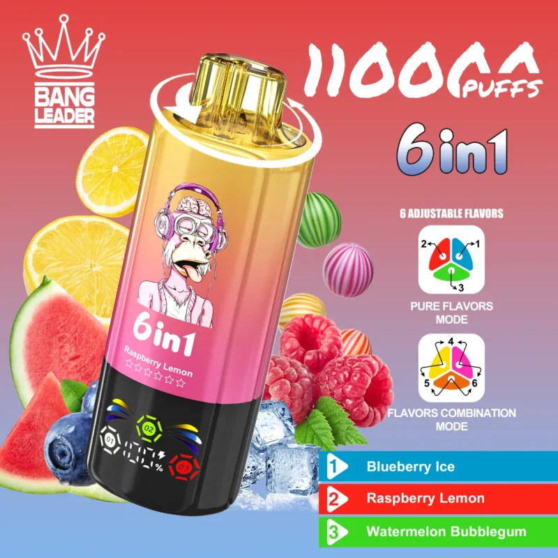 dh-vape-eu-warehouse-bang-leader-110k-blueberry-ice-&-raspberry-lemon-&-watermelon-bubblegum