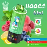 dh-vape-eu-warehouse-bang-leader-110k-zitrone-romanze-&-blaubeere-himbeere-&-pfirsich-menthol