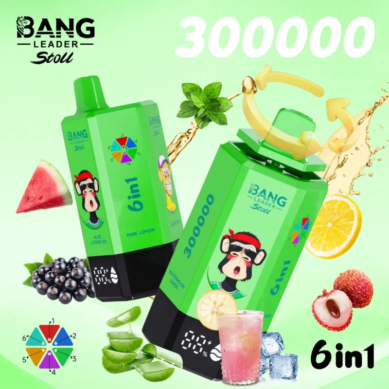 dh-vape-eu-warehouse-bang-leader-300k-パフ-アロエ-ライチ-アイス-ピンク-レモン-氷河-アイス-パイン-針-ミント-ブラックカラント-アイス-スイカ-レモン