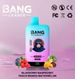 dh-vape-eu-warehouse-bang-leader-45000-45k-puffs-blueberry-raspberry-peach-mango-watermelon-