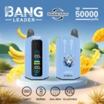 Dh Vape EU倉庫 使い捨てタイプ 1783587425
