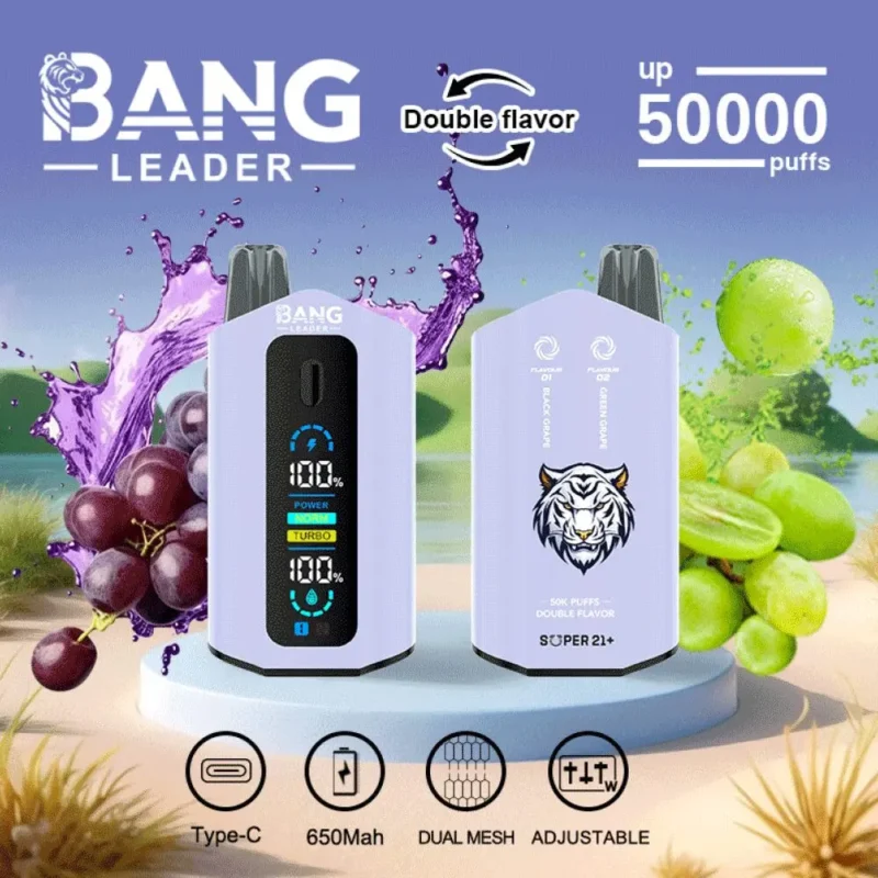 Dh Vape EU倉庫 使い捨てタイプ 1783587424