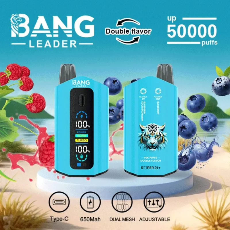 Dh Vape EU倉庫 使い捨てタイプ 1783587325