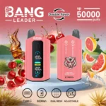 Dh Vape EU倉庫 使い捨てタイプ 1783587324