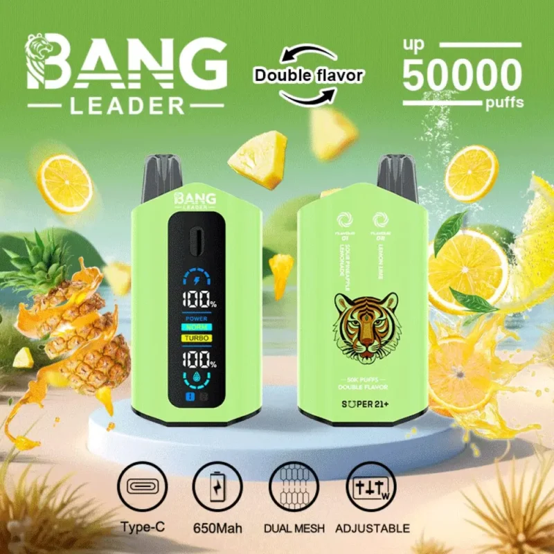 Dh Vape EU倉庫 使い捨てタイプ 1783587321