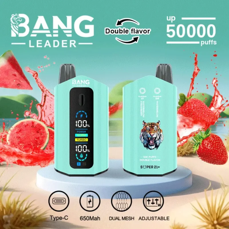 Dh Vape EU倉庫 使い捨てタイプ 1783587319
