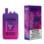 dh-vape-eu-warehouse-bang-leader-80000-puffs-disposable-vape