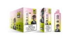 dh-vape-eu-warehouse-myrtille-framboise-mélange de baies-californie-cerise-fruit de la passion-mangue