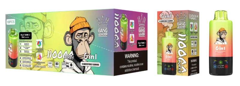dh-vape-eu-warehouse-puff-110k-bang-leader-110k-blueberries-raspberries-&-sour-pineapples-oranges-&-raspberries-watermelons