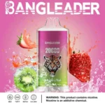 Dh Vape Eu Lager Einweg 1783587510