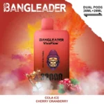 Dh Vape Eu Lager Einweg 1783587489