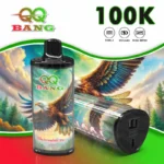 dh-vape-eu-warehouse-qq-bang-100k-100000-puffs-watermelon-ice