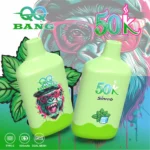 dh-vape-eu-warehouse-qq-bang-50k-puff-50000-mint-ice