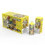 dh-vape-eu-warehouse-razz-bar-60000-puffar-juicy-peach-ice