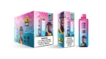 dh-vape-eu-entrepôt-melon d'eau-glace-myrtille-cerise-été-mangue-ananas