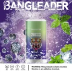 Dh Vape Puff 20k Einweg Detail 2