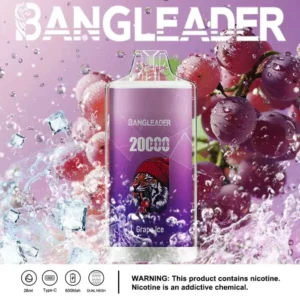 dh-vape-puff-20k-bang-leader-20000-traube-eis-