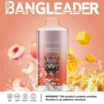 Dh Vape Puff 20k Einweg Ansicht