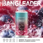 Dh Vape Puff 20k Einweg-Design