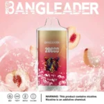 Dh Vape Puff 20k Einweg-Detail