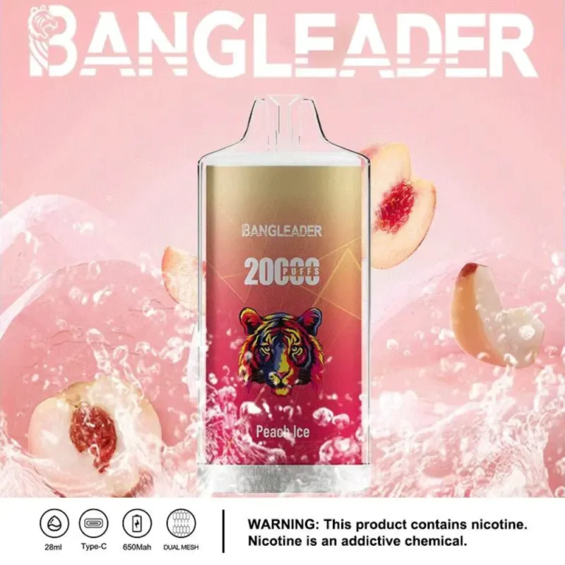 Dh Vape Puff 20k Einweg-Detail