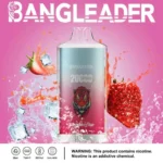 Dh Vape Puff 20k Einweg