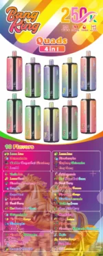 dh-vape-bang-king-250k-puff-250000-eu-aromenliste
