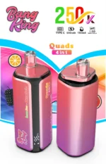 dh-vape-bang-king-250k-puff-250000-eu-lager-lemonline-wassermelone