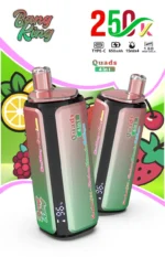dh-vape-bang-king-250k-puff-250000-eu-lager-mix-beere-kirsche-zitrone