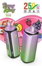 dh-vape-bang-king-250k-puff-250000-eu-lager-erdbeere-traube-eis
