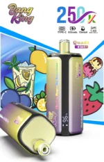 dh-vape-bang-king-250k-puff-250000-eu-lager-Erdbeere-Mango-Blue-Razz-Limonade