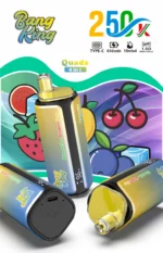 dh-vape-bang-king-250k-puff-250000-eu-lager-watremeolon-ice-erdbeere-mango
