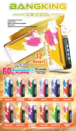 dh-vape-bang-king-ice-cool-60k-puff-aromenliste