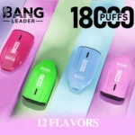 dh-vape-eu-lager-bang-leader-18k-zufällige-Geschmacksrichtungen