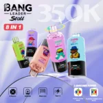 dh-vape-eu-warehouse-bang-leader-350k-メインディスプレイ