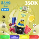 dh-vape-eu-warehouse-bang-leader-350k-ピーチ・マンゴー・スイカ