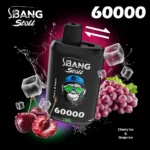 dh-vape-eu-warehouse-bang-leader-60k-puff-blueberry-ice-fizzy-cherry