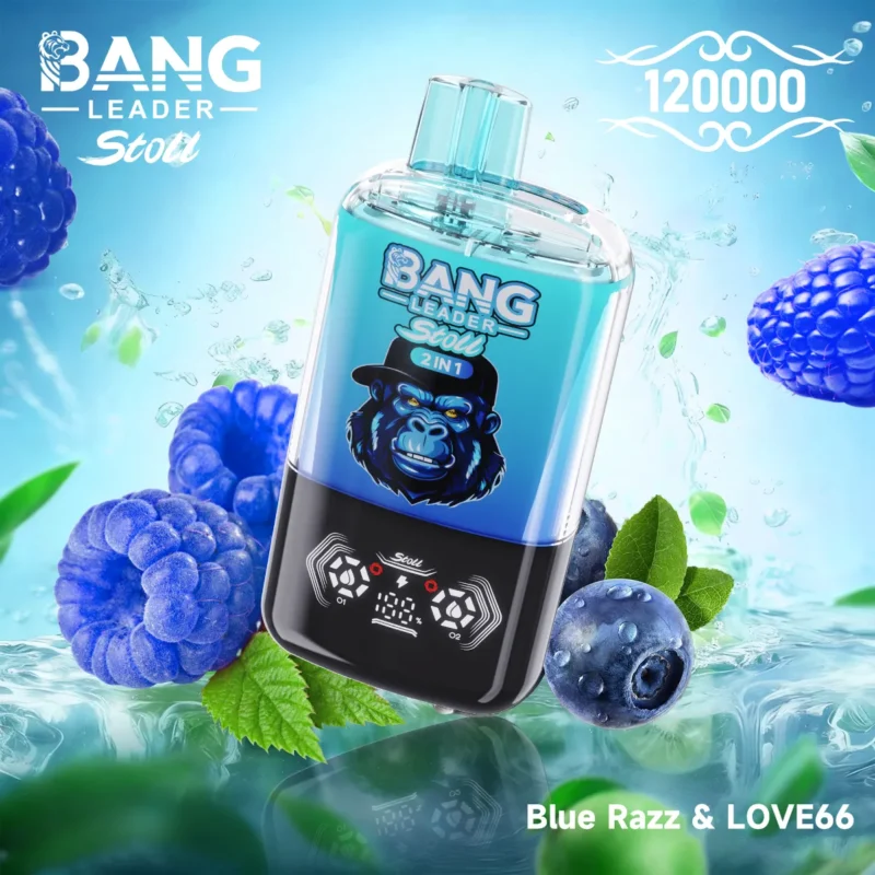Dh Vape Bang Leader Disposable design 2