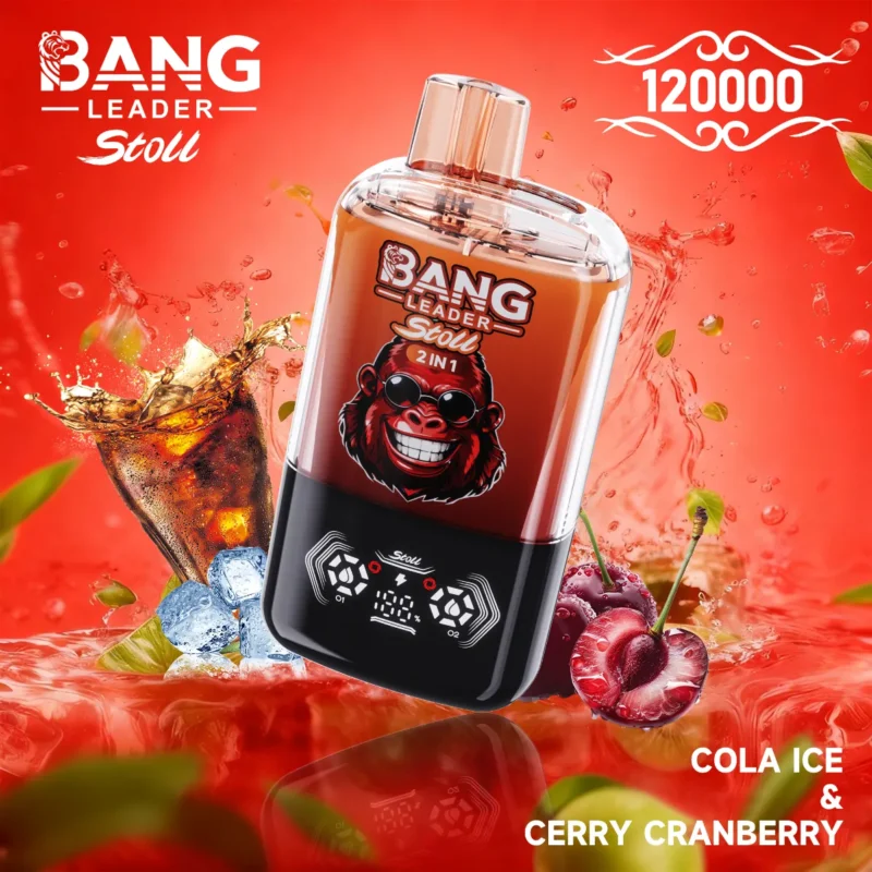 Dh Vape Bang Leader Disposable view 2