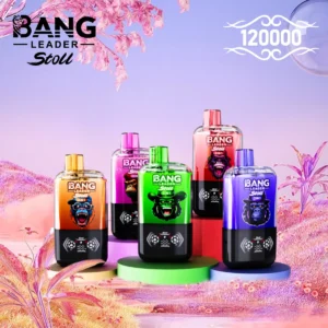 Immagine 2 del Dh Vape Bang Leader usa e getta