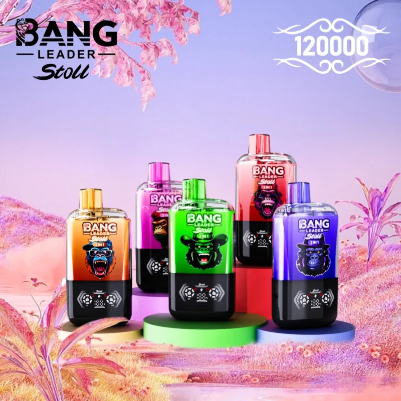 Dh Vape Bang Leader Disposable image 2