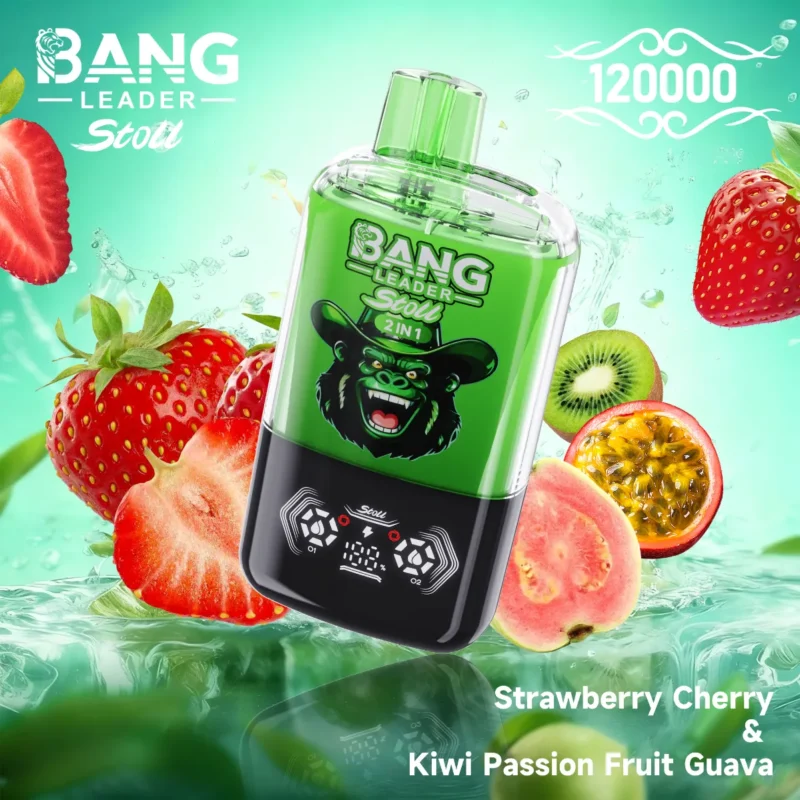 Dh Vape Bang Leader Disposable view 3