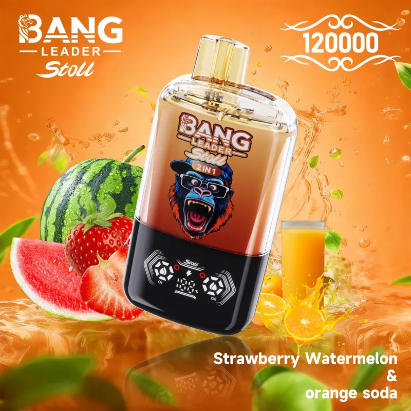 Dh Vape Bang Leader Disposable variant 3