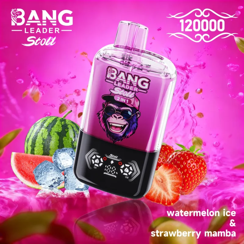 Dh Vape Bang Leader Disposable design 4