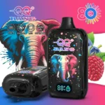 dh-vape-bang-qq-80k-puff-80000-eu-warehouse-blueberry-raspberry