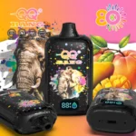 dh-vape-bang-qq-80k-puff-80000-eu-warehouse-mango-peach