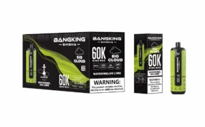 Panoramica sui prodotti usa e getta di Dh Vape Eu Warehouse