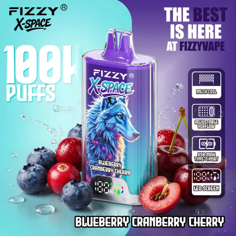 dh-vape-eu-warehouse-fiizy-x-space-ブラックベリー・クランベリー・チェリー